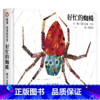 好忙的蜘蛛 [正版]好忙的蜘蛛绘本精装硬壳儿童图画故事书艾瑞卡尔作品幼儿园3-6岁纸板书撕不烂早教书专注力翻翻图画书籍圆