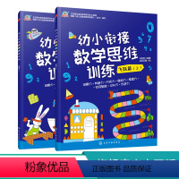 [正版]幼小衔接数学思维训练 飞跃篇 上下2册 蒙台梭利教育研究中心 专为3-6岁孩子编写 每册60个游戏训练数学