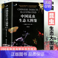 中国昆虫生态大图鉴 第2版 [正版]正本 中国昆虫生态大图鉴 第2版 精装收藏书籍 张巍巍 动物世界书籍 物种百科全书昆