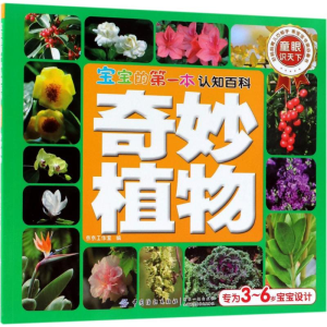 [M]宝宝的第一本认知百科-9787518034963