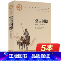 [正版]堂吉诃德 名家名译 堂吉柯德 唐吉诃德 世界文学名著书籍 全套经典原著外国 书高中生中学生课外必读小说原版