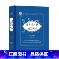 童年·在人间·我的大学 [正版]全9册外国文学名家精选书系 精装硬壳名家全译精彩阅读 6-15岁中小学生课外阅读书经典文