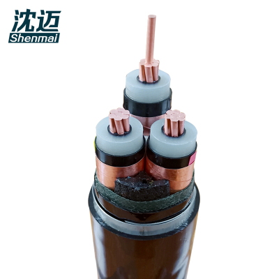 沈迈 铜芯铠装电缆 ZC-YJV22-10-1-3*70mm² /米