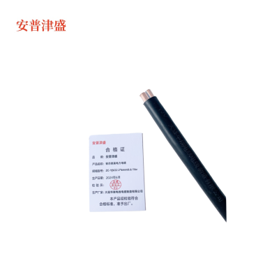 安普津盛 铜芯铠装电力电缆 ZC-YJV22 2*6mm0.6/1kv 米