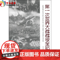 正版 一战百年系列丛书:第一次世界大战战役全纪录 军事科学出版社
