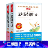 [正版]爱丽丝漫游奇境记 尼尔斯骑鹅旅行记六年级下册必读套装 小学生课外书阅读书籍课外书儿童文学读物8-12岁导读版青