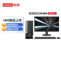 联想(Lenovo)扬天M460 定制升级 商用办公台式电脑整机(i5-14400 32G 2T+512G SSD固态 Win11)27英寸显示器 定制