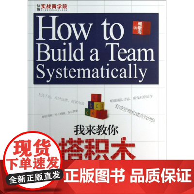 我来教你搭积木(500强企业的团队系统化构建之道)