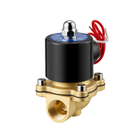 依梵思 电磁阀 2W-160 DC24V 个