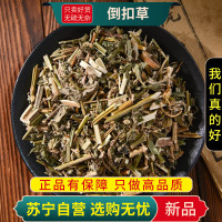 甄选倒扣草100克干货正品别名牛舌大黄倒钩草牛膝头煮水泡茶新货无硫