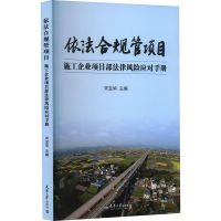 音像依法合规管项目 施工企业项目部法律风险应对手册宋宝华 编