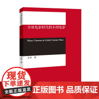 全球电影时代的小国电影