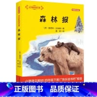 大作家的语文课.森林报 [正版]大作家的语文课 森林报 精编导读版 8-14岁 维塔利·比安基 著 儿童文学