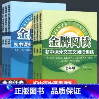 文言文+现代文阅读训练 九年级/初中三年级 [正版]金牌阅读 初中课外现代文文言文阅读训练 七八九年级上册下册 初中一二
