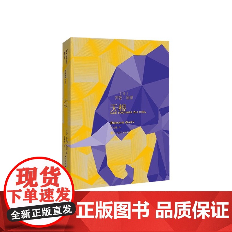 天根 罗曼·加里 著 小说