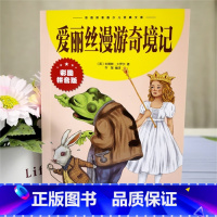 单本全册 [正版]彩图注音版爱丽丝漫游奇境记书一年级二年级三年级上册下童话文学图书本小学生课外阅读书籍少儿读物儿童故事书
