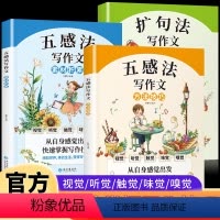 五感法写作文[方法技巧+素材积累+扩句法]3册 小学通用 [正版]五感法写作文小学作文写作方法技巧素材积累书籍全套扩句法