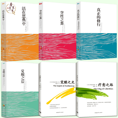 正版24小时-活在恩典中觉醒之后空性之舞真正的修行觉醒之光疗愈之路阿迪亚香提套装全6册