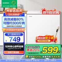 容声(Ronshen) 200升减霜小型冰柜家用冷藏冷冻转换单温冷一级能效家商两用卧式冰箱 BD/BC-200ZMSMB