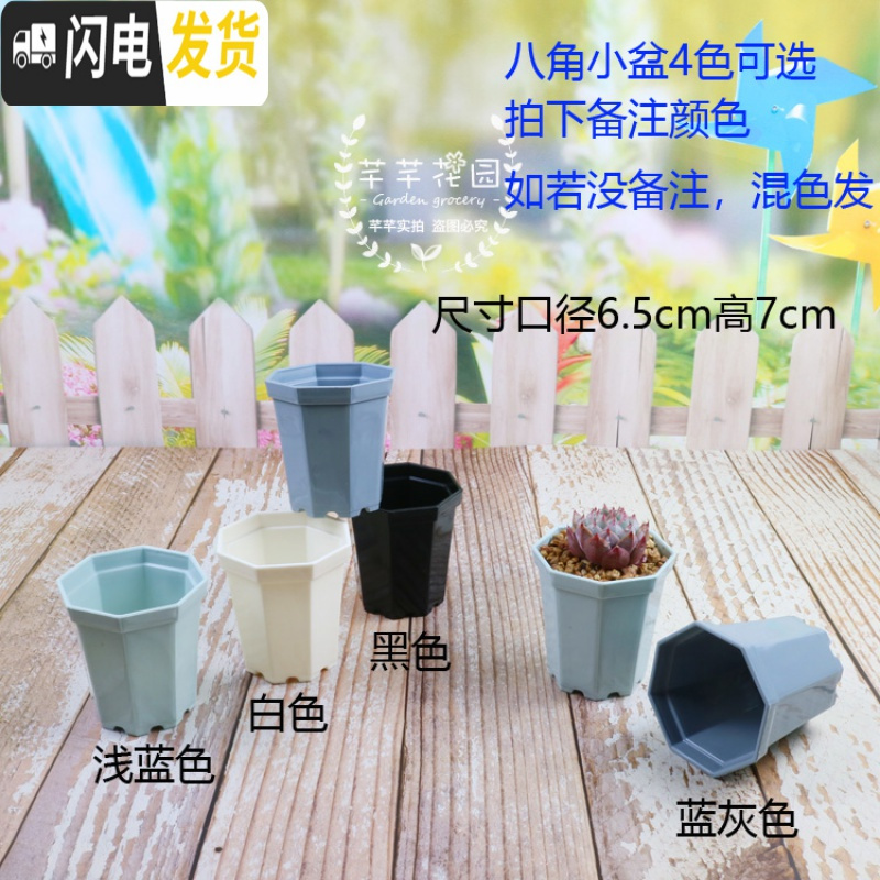 三维工匠小黑方小方大黑方大彩方多肉植物塑料花盆叶插育苗配搭托盘 7cm混色30个 单独盆不含底托花盆容器