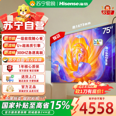海信电视75E5Q 75英寸 超画质U+Mini LED 墨晶屏 300Hz高刷 U+超画质引擎Pro AI智能平板