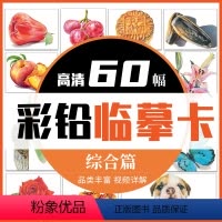 [正版]彩铅临摹卡综合篇60幅 一线美誉步骤对应视频详解美术绘画卡片兴趣高清原创