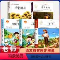 [全5册]大林和小林+宝葫芦的秘密+爱的教育+童年+青铜葵花 [正版]大林和小林 三年级四年级阅读课外书必读张天翼儿童文