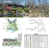 图解景观设计100个经典植物配置