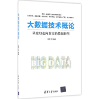 音像大数据技术概论娄岩 编著
