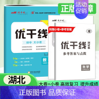 数学[湖北专版全册] 九年级/初中三年级 [正版]2024新版优干线测试卷七年级八年级九年级语文数学英语物理历史道德初中