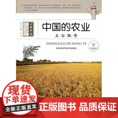 五谷飘香----中国的农业