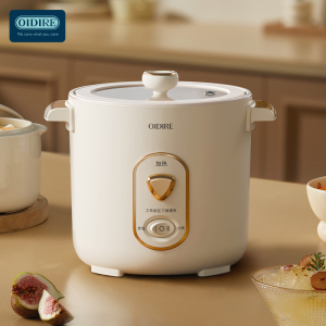 德国OIDIRE ODI-DFB9迷你电饭煲