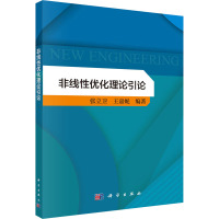 非线性优化理论引论
