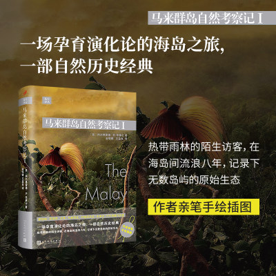 正版新书]马来群岛自然考察记 I(英)阿尔弗雷德·R.华莱士 著 金
