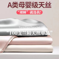 夏季A类100兰精天丝床单单件冰丝被套丝滑床笠罩枕套三件套