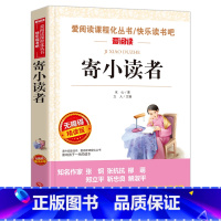 寄小读者 [正版]陶奇的暑假日记冰心 小学生阅读名著 无障碍阅读 小学生淘奇的暑期日记阅读写作训练书 儿童读物7-10-
