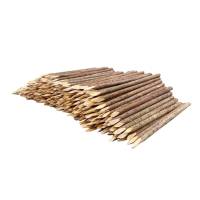 泽奋 防洪木桩 直径10-15cm 长2m 根