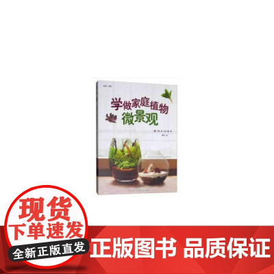 学做家庭植物微景观