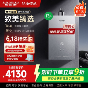 AO史密斯新品小体积13升精钢燃气热水器[小精钢EC5] 持久恒温 天然气 JSQ26-EC5