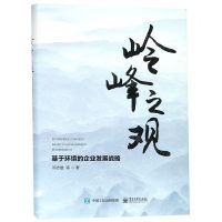 [N]岭峰之观(基于环境的企业发展战略)(精)-9787121360725