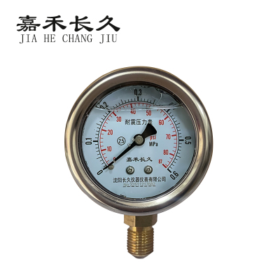 嘉禾长久 耐震压力表检测型 YTN40 块