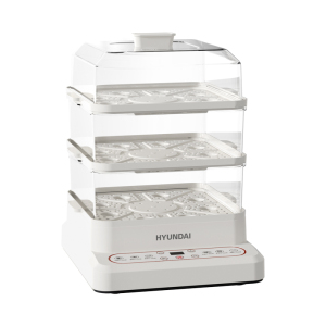 HYUNDAI 韩国现代 多功能电蒸锅XX-DZG08