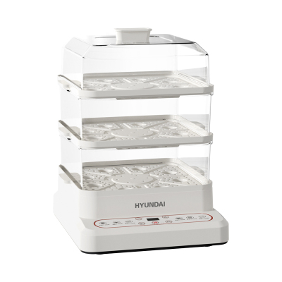 HYUNDAI 韩国现代 多功能电蒸锅XX-DZG08