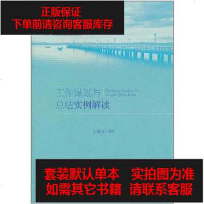 二手8成新-工作谋划与总结实例解读9787802167797