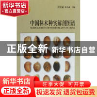 正版 中国林木种实解剖图谱 任宪威,朱伟成主编 中国林业出版社