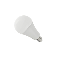 晫安联 ZX2101B AC220V 24W 6500K 螺口式 E27 LED 工业级节能灯泡 ( 计价单位:个)