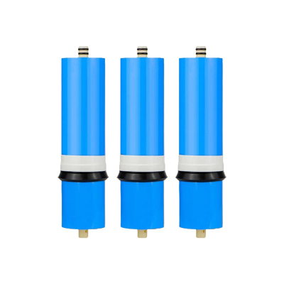 讯博士 JYLX2100 适用J2313-R0S63C RO膜滤芯 3个/包 1包