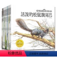[正版]彩绘西顿动物记科普绘本全套10册2-3-4-5-6岁儿童绘本图书动物世界百科全书 幼儿园图画书 亲子读物经典睡