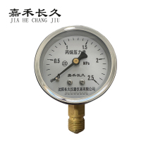 嘉禾长久 丙烷压力表 块