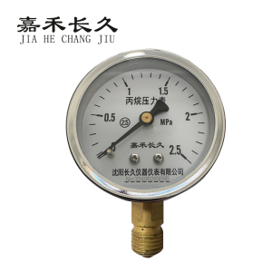 嘉禾长久 丙烷压力表 块